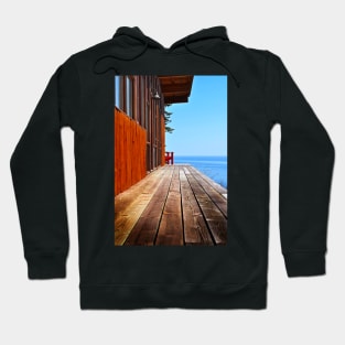 the view Hoodie